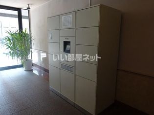 ミカーサ安島の画像