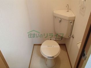 フォレストブライトの画像