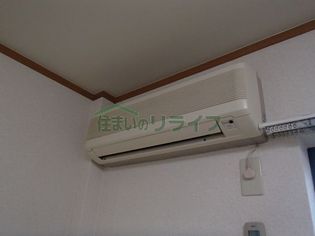 フォレストブライトの画像