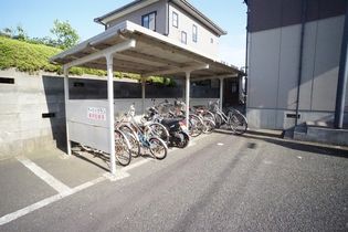 アークイガラシの画像