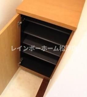 カーザ・レフィナーダIIIの収納もある玄関です