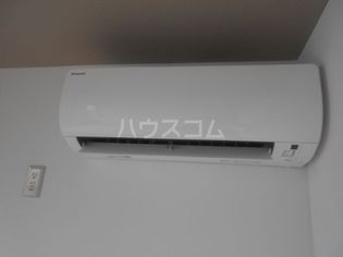 ニシオギソウの画像