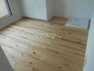 ニシオギソウの画像