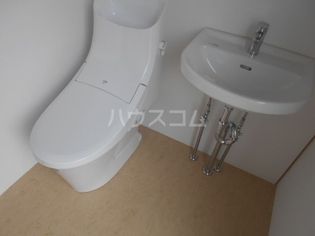 ニシオギソウの画像