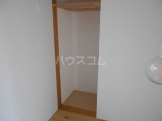 ニシオギソウの画像