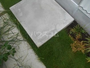 ニシオギソウの画像