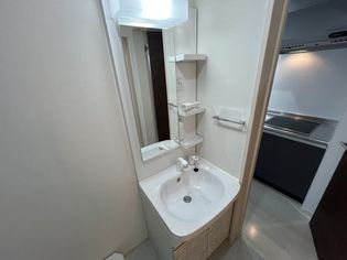 F asecia propusの画像