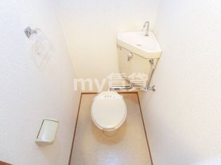 フォレストブライトのフォレストブライト