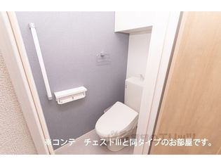 ルピナスイーストの画像