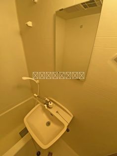やしおの画像
