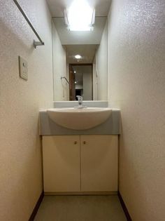 パークウェル市ヶ谷の洗面