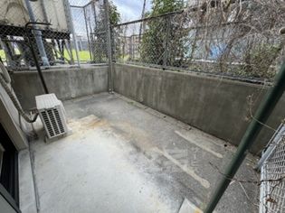 コリーヌ千里の画像