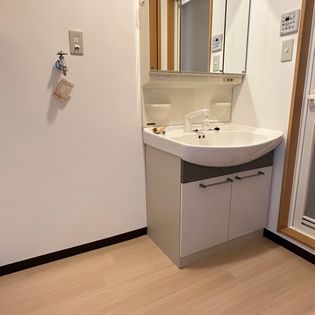 ハートフル泉田の洗面所