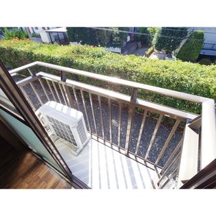 パインフィールド3号の画像