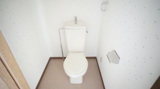 ル・ド・ソレイユの画像