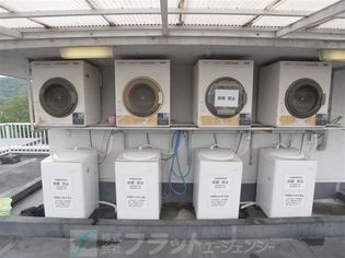 上賀茂松柏の画像