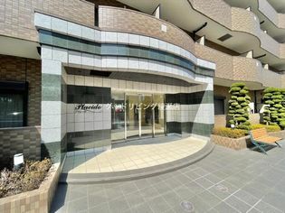 プラシードの画像