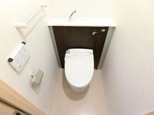 プラシードの画像