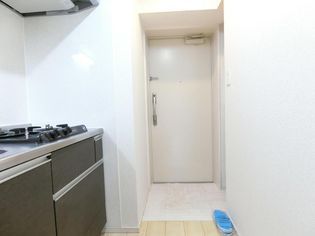 プラシードの画像