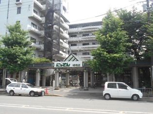 スーパーフレスコにっさん嵯峨店(スーパー)まで1252m
