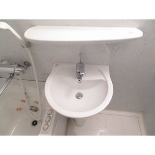 アムス志村の洗面ボール