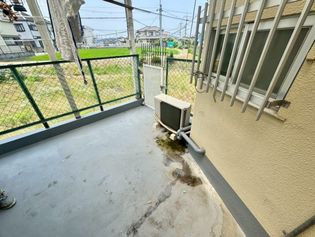 エルヴェウエダの画像