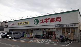 スギ薬局様(ドラッグストア)まで450m