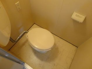 シベール桂泉の画像