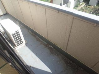 コズエペナテス相模台のコズエペナテスのバルコニー