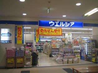 ウエルシア新宿牛込店(ドラッグストア)まで315m