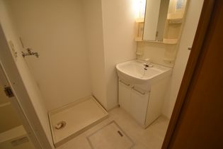 第5センチュリーの画像