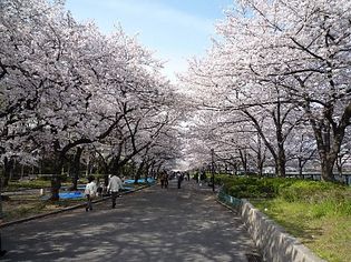 毛馬桜之宮公園(公園)まで843m