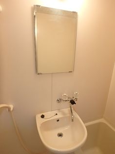 ワンダーランドBの画像