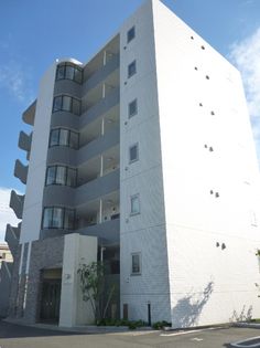 ハイパー桜の画像