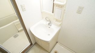 ミカーサ安島のシャンプードレッサー