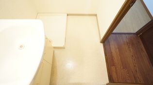 ミカーサ安島の脱衣所