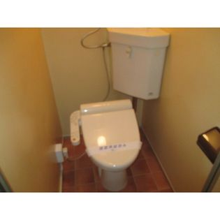 エクセルバードの画像