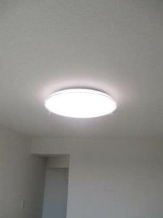 シンシアIIの画像