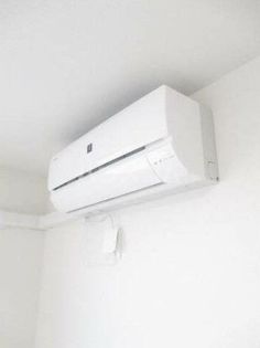 シンシアIIの画像