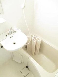 シンシアIIの画像