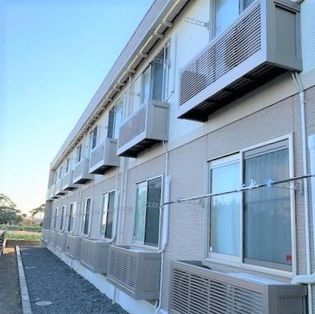 レオネクストサーフサイド海誠の画像