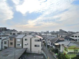 ベルデュール楓の画像