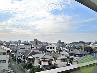 ベルデュール楓の画像