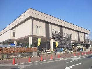 ケーヨーデイツー 嵯峨店(ホームセンター)まで1113m