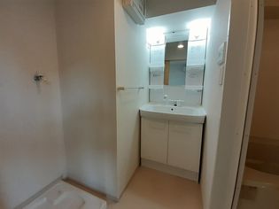 グランステラの洗髪洗面台と室内洗濯機置場です