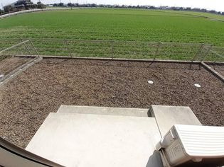 エレンシアM IIの画像