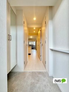 スプランディッドIXの画像