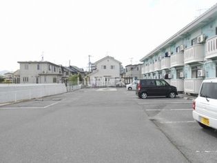 ヤングユーカリの画像