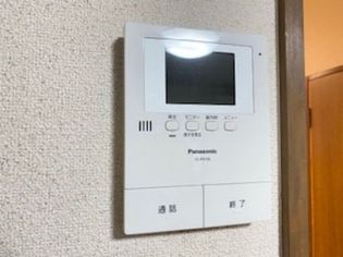 ヤングユーカリの画像