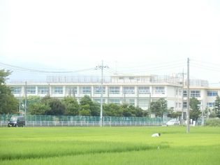 金田小学校(小学校)まで900m